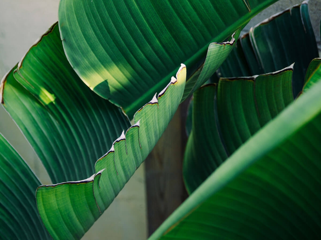 How To Find Good Spots For Nature Inspired Photo-Shoots